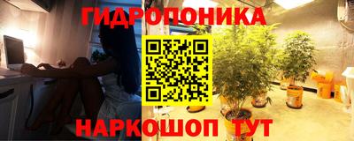 хмурый Абинск